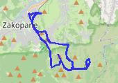 2017-06-23 Kwatera, Kuźnice, Nosal, Kopieniec, Olczyska, Antałówka, Kwatera - mapa trasy gps - spacer