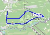 Trasa z dnia 2017-06-29 07:50 - mapa trasy gps - bieganie