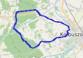 Trasa z dnia 2017-07-04 20:30 - mapa trasy gps - bieganie