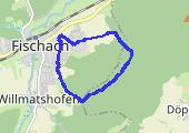 Trasa z dnia 2017-07-11 20:00 - mapa trasy gps - rower górski