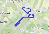 Trasa z dnia 2017-07-16 20:04 - mapa trasy gps - marsz