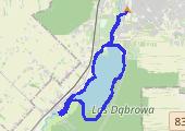 15k long run - mapa trasy gps - bieganie