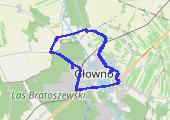 Trasa z dnia 2017-07-21 21:06 - mapa trasy gps - rower trekkingowy