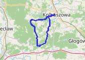 Trasa z dnia 2017-07-24 19:53 - mapa trasy gps - rower szosowy