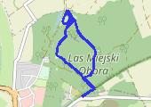 Trasa z dnia 2017-07-25 18:39 - mapa trasy gps - marsz