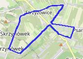 Trasa z dnia 2017-07-26 22:06 - mapa trasy gps - marsz