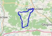 Trasa z dnia 2017-07-27 19:33 - mapa trasy gps - rower szosowy