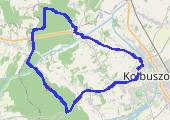 Trasa z dnia 2017-07-29 11:21 - mapa trasy gps - bieganie