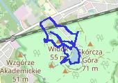 Trasa z dnia 2017-07-30 17:01 - mapa trasy gps - marsz