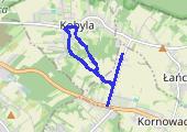 Trasa z dnia 2017-08-12 18:52 - mapa trasy gps - marsz