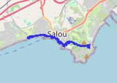 Trasa z dnia 2017-08-12 21:56 - mapa trasy gps - bieganie