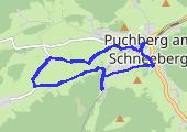 Trasa z dnia 2017-08-19 13:22 - mapa trasy gps - marsz