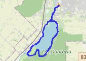 long run 15k - mapa trasy gps - bieganie
