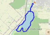 long run 16k w TM - mapa trasy gps - bieganie