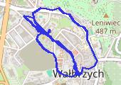 trasa - mapa trasy gps - spacer