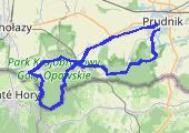 XV Prudnicki Maraton Pieszy - mapa trasy gps - marsz