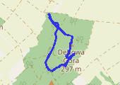 Grzybobranie na Dębowej Górze - mapa trasy gps - marsz