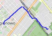 Trasa z dnia 2013-06-22 20:04 - mapa trasy gps - rower trekkingowy