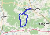 Trasa z dnia 2017-09-29 18:01 - mapa trasy gps - rower szosowy