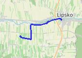 Trasa z dnia 2017-10-02 16:27 - mapa trasy gps - nordic walking
