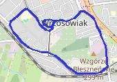 Trasa z dnia 2017-10-11 20:10 - mapa trasy gps - marsz