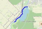 13k + podbiegi 8 x 100m - mapa trasy gps - bieganie