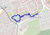 Trasa z dnia 2017-10-17 19:25 - mapa trasy gps - marsz