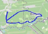 Trasa z dnia 2017-10-22 17:17 - mapa trasy gps - bieganie
