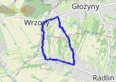 Trasa z dnia 2017-11-01 08:37 - mapa trasy gps - bieganie