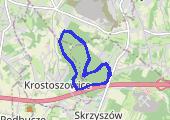 Trasa z dnia 2017-11-11 12:19 - mapa trasy gps - bieganie