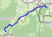 III Turystyczny Rajd Niepodległości Głuchołazy - Jesenik - mapa trasy gps - marsz