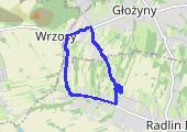 Trasa z dnia 2017-11-12 08:45 - mapa trasy gps - bieganie