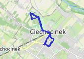 Trasa z dnia 2017-11-12 11:32 - mapa trasy gps - marsz