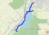 15k long run - mapa trasy gps - bieganie