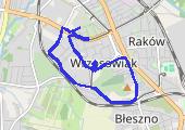 Trasa z dnia 2017-11-21 20:34 - mapa trasy gps - marsz