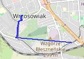 Trasa z dnia 2017-11-24 16:45 - mapa trasy gps - marsz