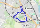 Trasa z dnia 2017-11-27 21:20 - mapa trasy gps - marsz