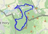 Z Pokrzywnej na Biskupią Kopę, Karliki, Karolinki i Olszak - mapa trasy gps - marsz