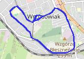 Trasa z dnia 2017-12-31 11:16 - mapa trasy gps - marsz