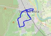Trasa z dnia 2018-01-08 19:24 - mapa trasy gps - marsz