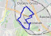 Trasa z dnia 2018-01-31 19:57 - mapa trasy gps - marsz