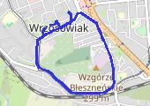 Trasa z dnia 2018-02-04 19:28 - mapa trasy gps - marsz