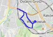 Trasa z dnia 2018-02-08 20:32 - mapa trasy gps - marsz
