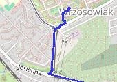 Trasa z dnia 2018-02-09 17:01 - mapa trasy gps - marsz