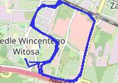 Trasa z dnia 2018-02-13 19:59 - mapa trasy gps - bieganie