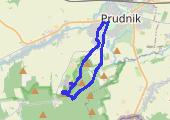 Zajęcza Kępa i Kobylica - mapa trasy gps - marsz