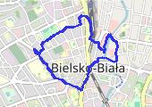 Trasa z dnia 2018-02-19 11:34 - mapa trasy gps - marsz
