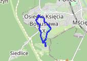 Trasa z dnia 2013-05-19 12:14 - mapa trasy gps - marsz