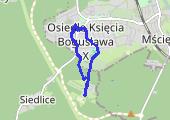 Trasa z dnia 2013-05-18 10:47 - mapa trasy gps - marsz