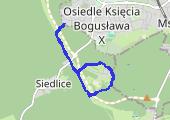 Trasa z dnia 2013-05-16 09:40 - mapa trasy gps - marsz